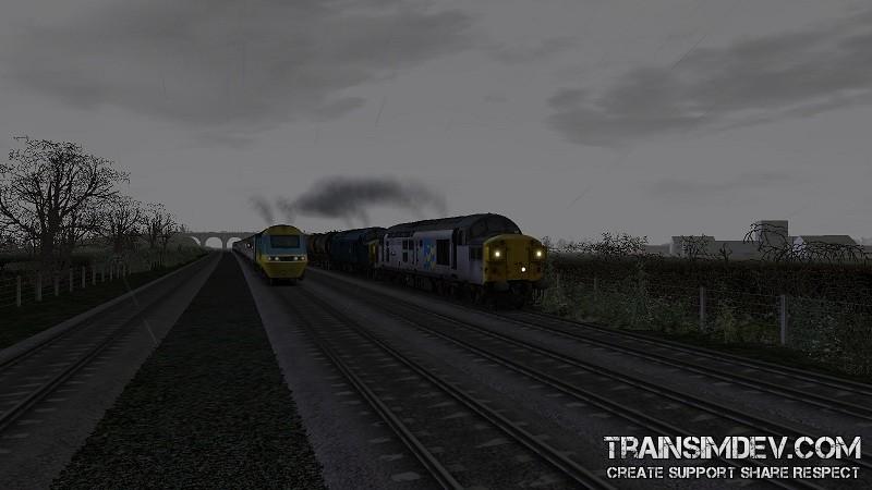 Shells from Stanlow by gorby68