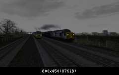 Shells from Stanlow by gorby68