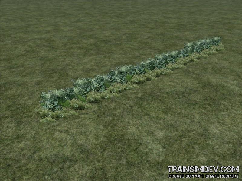 FP Bush Hedge Near 20m (SAD)