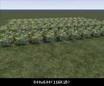 FP Flower Sunflower Med (SAD)