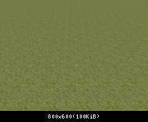 FP BY Green Grass 4 (No Flora)