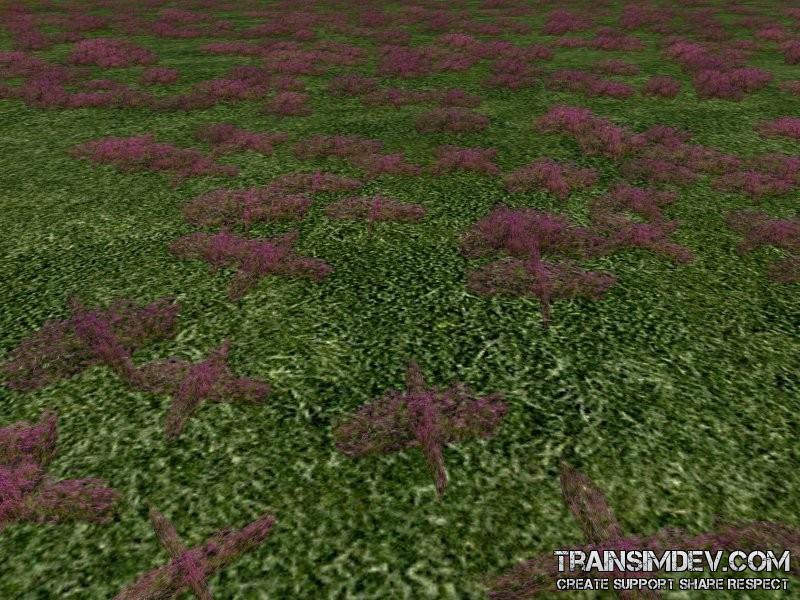 FP ACORN Moor 1 (Flora 1)