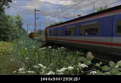 Summer on the Mayflower Line