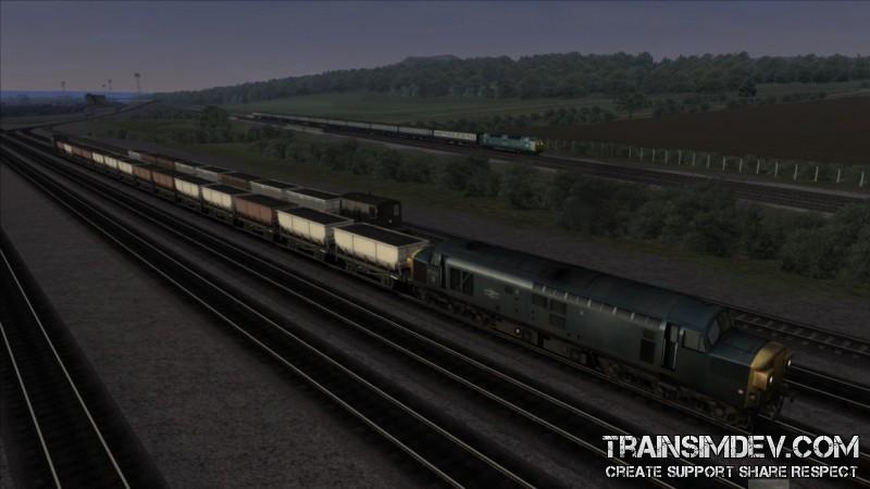 TY010