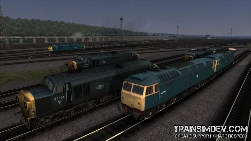 TY011