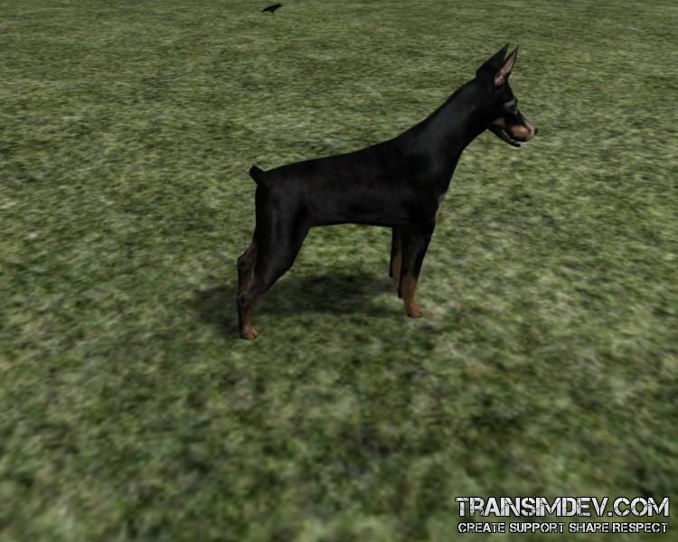 FP Anml Dog Doberman 01 (DS)