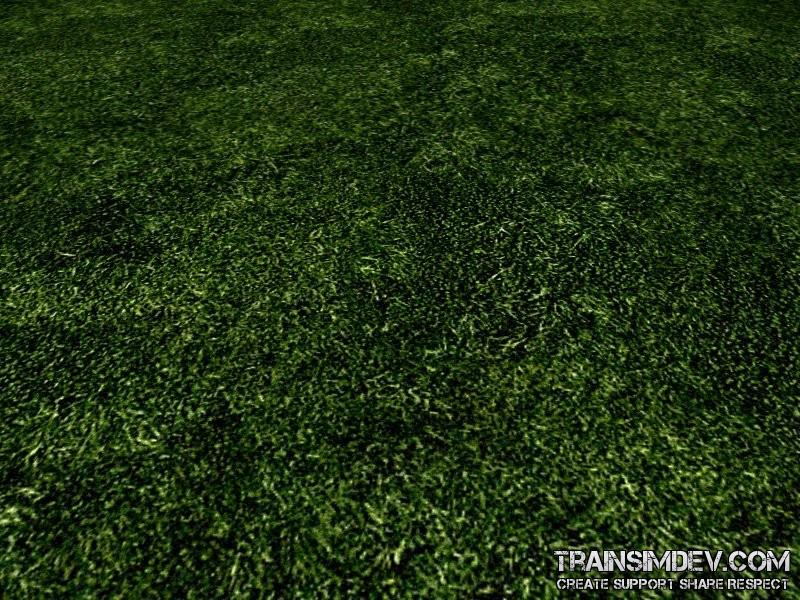 FP ACORN Very Dark Grass 1 (No Flora)