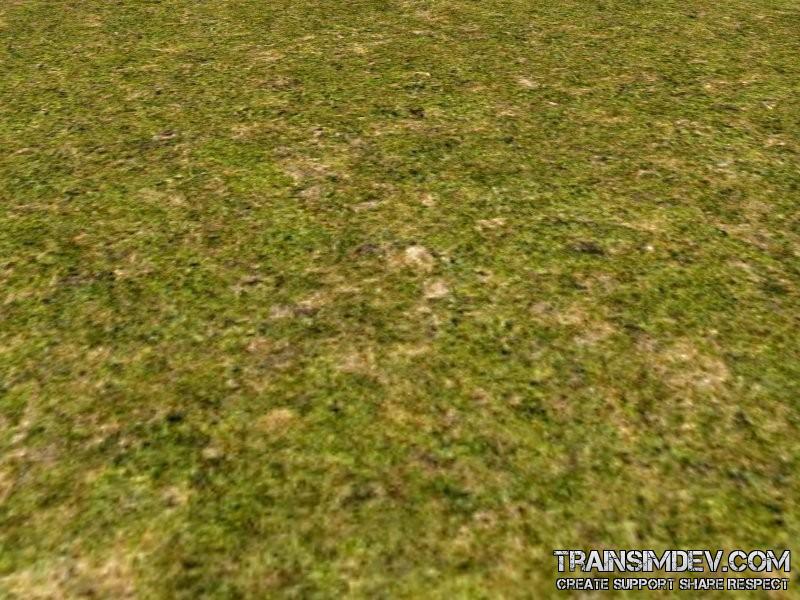 FP ACORN Dry Grass 3 (No Flora)