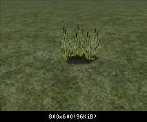 FP Grass Reeds Sm (SAD)