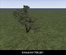 FP Tree 3D Apple (SAD)