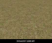 FP KUJU Very Dry Grass (Flora)