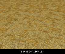 FP ACORN Wheat 1 (Flora)