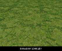 FP KUJU Green Grass (Flora)
