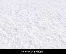 FP ACORN Snow 1 (No Flora)