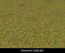 FP ACORN Dry Grass 2 (Flora)