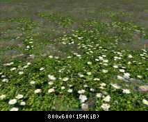 FP ACORN Meadow 1 (Flora 2)