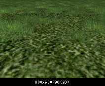 FP ACORN Dark Grass 1 (Flora)