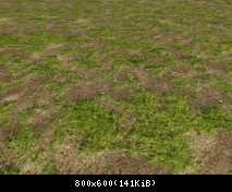 FP ACORN Grass Bare 1 (No Flora)
