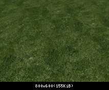 FP ACORN Dark Grass 1 (No Flora)