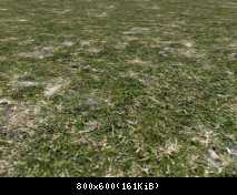 FP ACORN Chalky Grass (No Flora)