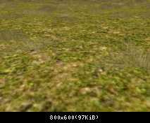 FP ACORN Dry Grass 3 (Flora)