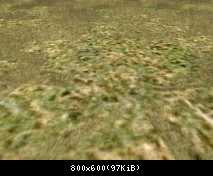 FP ACORN Dry Grass 1 (Flora)