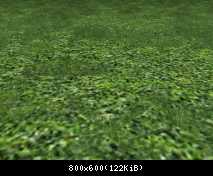 FP ACORN Grass 2 (Flora)