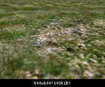 FP ACORN Chalky Grass 1 (Flora)