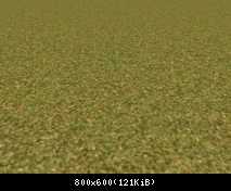 FP ACORN Dry Grass 2 (No Flora)