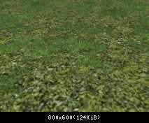 FP ACORN Grass 1 (Flora 1)