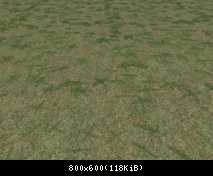 FP BY Green Grass 1 (Flora)